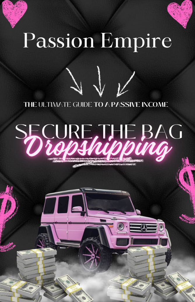 Ebook Secure The Bag (DropShipping Guide)